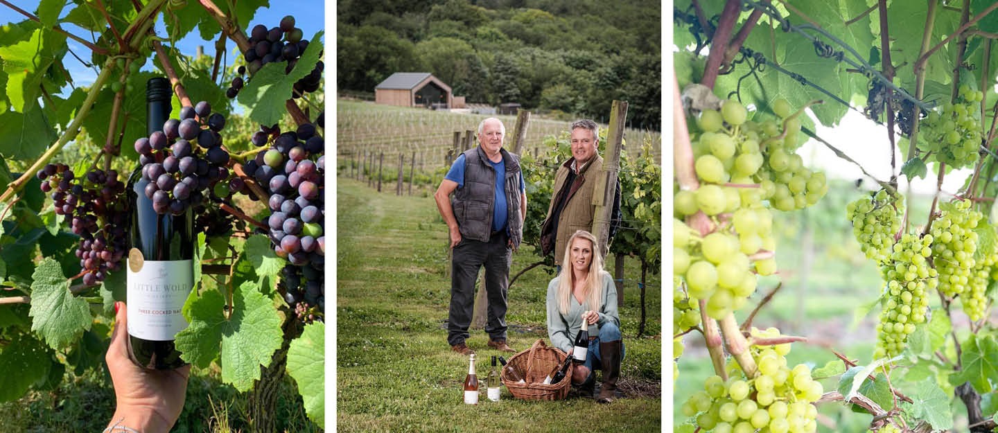 We Discover Why We Should all Be Drinking English Wine with Little Wold